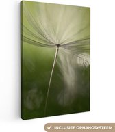 Peinture sur toile - Photo sur toile - Fleurs - Tournesol - Graines - Wit - Plantes - Décoration de chambre - 120x180 cm - Toile en toile