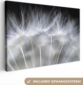 Canvas schilderij - Bloemen - Planten - Zaden - Wit - Canvasdoek - 60x40 cm - Foto op canvas - Schilderijen op canvas
