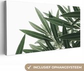 Canvas Schilderij Natuur - Planten - Bladeren - 80x40 cm - Wanddecoratie