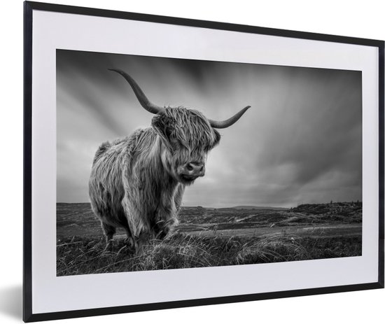 PosterMonkey - Poster - Fotolijst - Schotse hooglander - Natuur - Koe - Zwart wit - Kader - 60x40 cm - Poster zwart wit - Foto in lijst - Poster Schotse hooglander - Poster frame