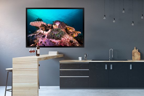 Photo encadrée - Corail lumineux dans une mer sombre près du Myanmar Cadre photo noir 120x80 cm - Affiche encadrée (Décoration murale salon / chambre)