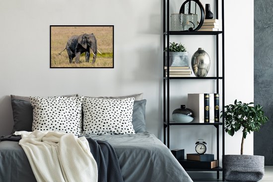 Cadre photo avec poster - Éléphant - Herbe - Animaux - Nature - 60x40 cm - Cadre poster
