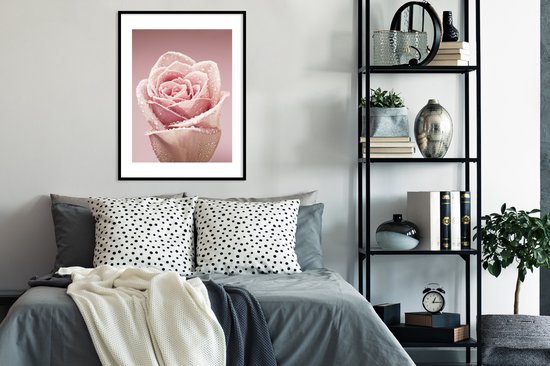 Photo encadrée - Gouttes de rosée sur un seul cadre photo rose rose 60x80 cm - Affiche encadrée (Décoration murale salon / chambre)