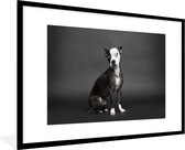 Fotolijst incl. Poster - Hond - Vlek - Portret - 90x60 cm - Posterlijst