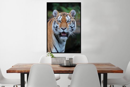 Cadre photo avec affiche - Tigres - Bâillement - Nature - 60x90 cm - Cadre pour affiche