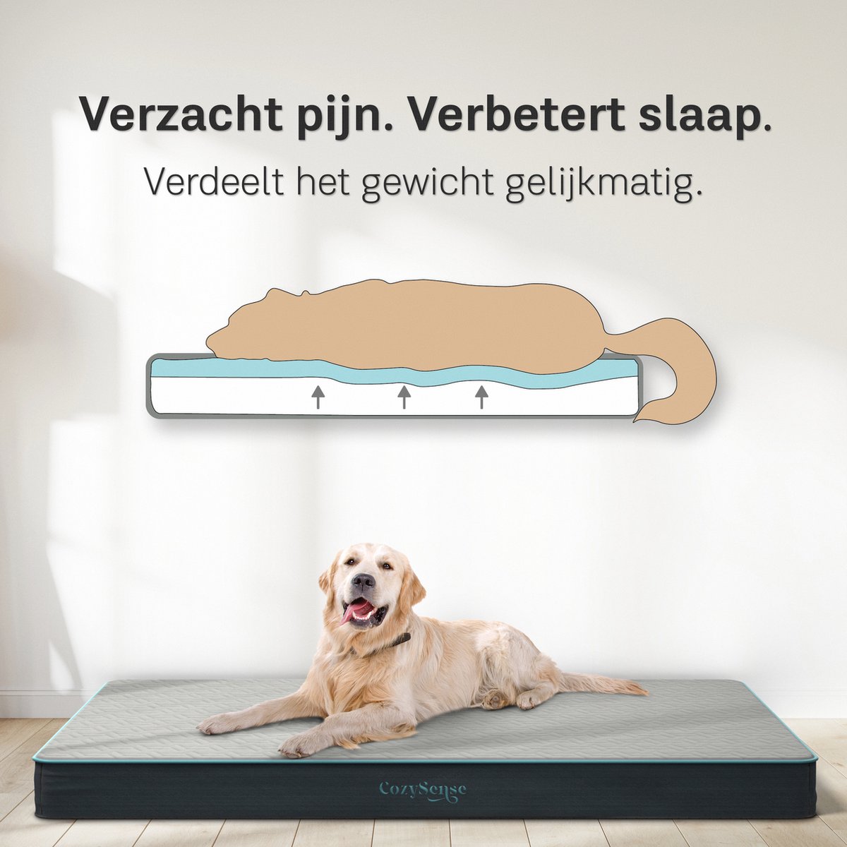 CozySense orthopedisch hondenkussen XL 100 x 70 cm thumbnail 3