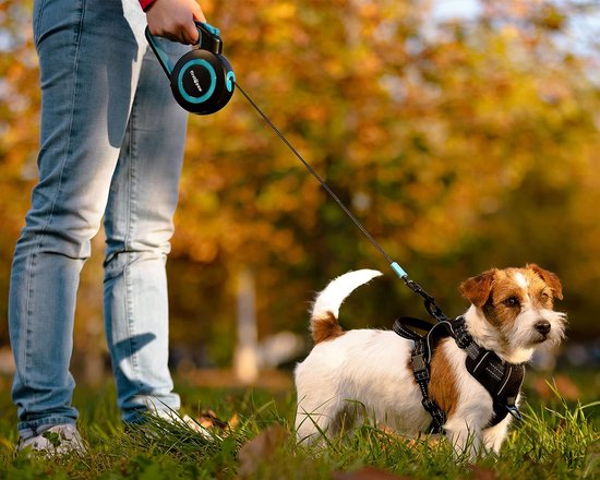 Jinlaili Zware Hondenriem – Metalen Kettinglijn, 1,8 M, 4 Mm Dik – Voor Middelgrote & Grote Honden, Kauwbestendig, Zacht Handvat