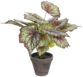 Mica Decorations Begonia Kunstplant in Bloempot Stan - H40 x Ø38 cm - Rood
