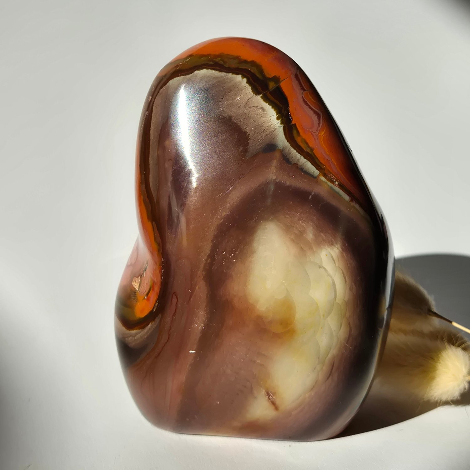 Moonlight Gemstones Edelsteen Spiritueel Statement piece Polychrome Ocean Jasper Freeform – 800g Meerkleurig