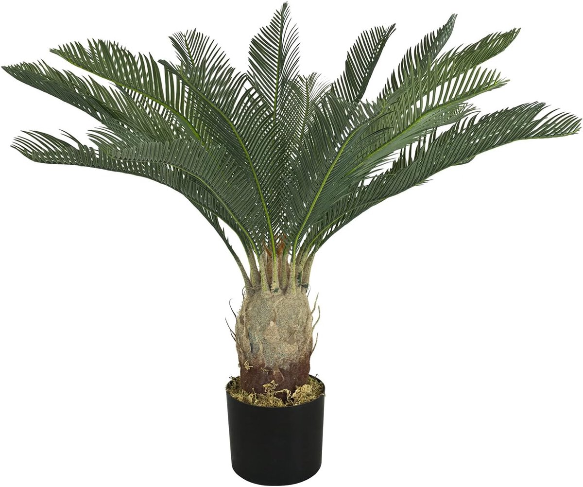 Cycas Kunstplant 80 cm
