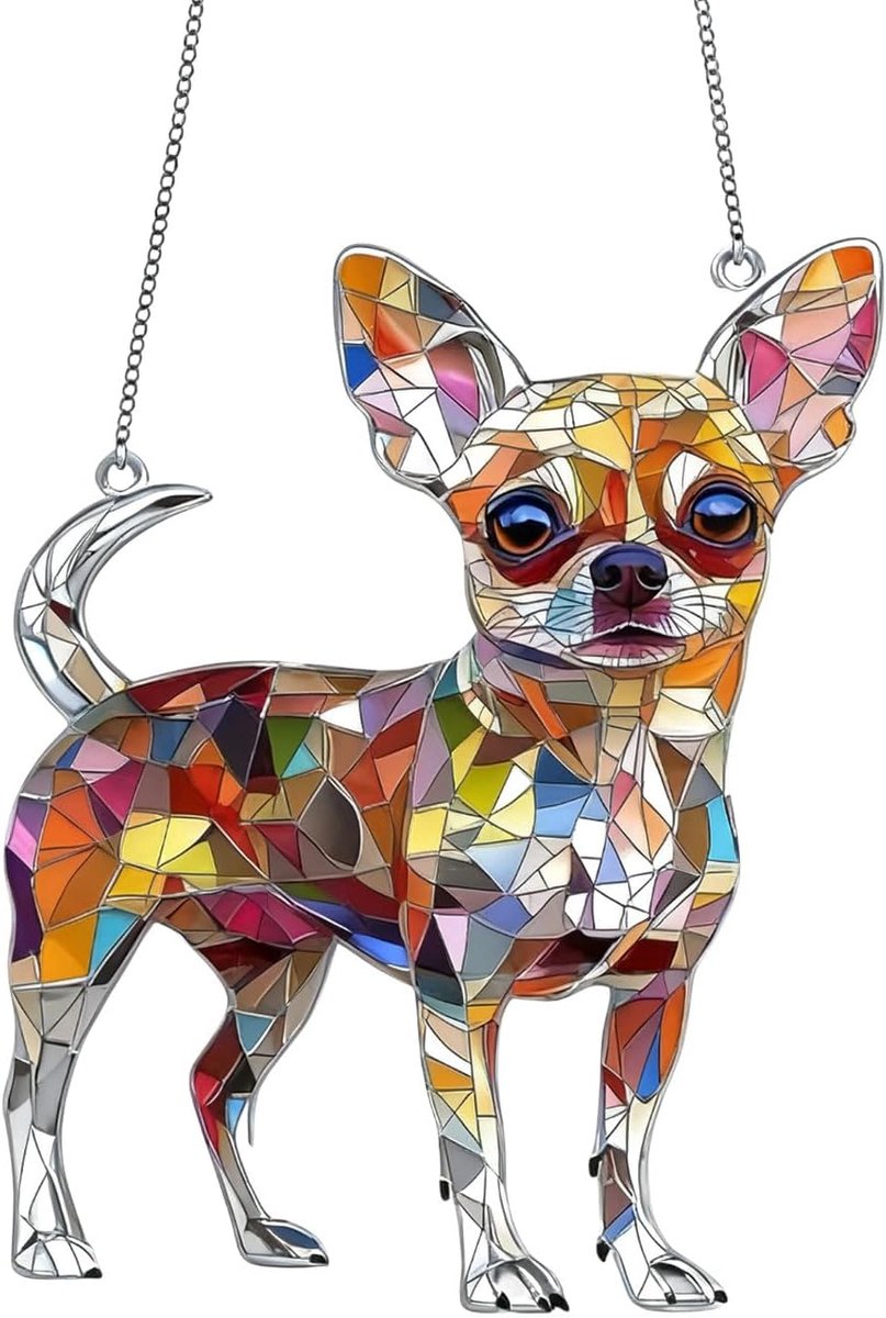 1 stuk zonnevanger, kolibrievorm, zonnevanger om op te hangen, kleurrijke acryl hanger, lichtvanger, raam, kolibrie, voor woonkamer, raam, tuin (hond 02)