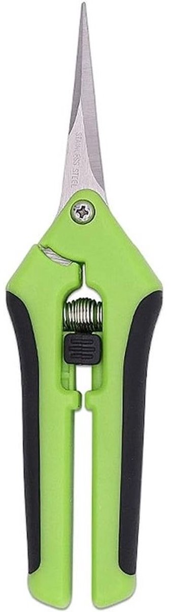 Snoeischaren - Tuinschaar - Fruit Snoeien - Roestvrij Staal - 65 Inch - Groen