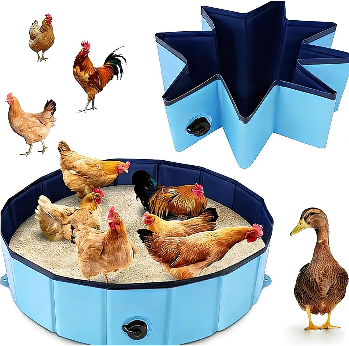kuip kippenbad (81,3 cm d x 20,3 cm h), stofbad voor kippen, essentiële kippenhok accessoires (blauw), opvouwbaar kippenstofbad instelbaar