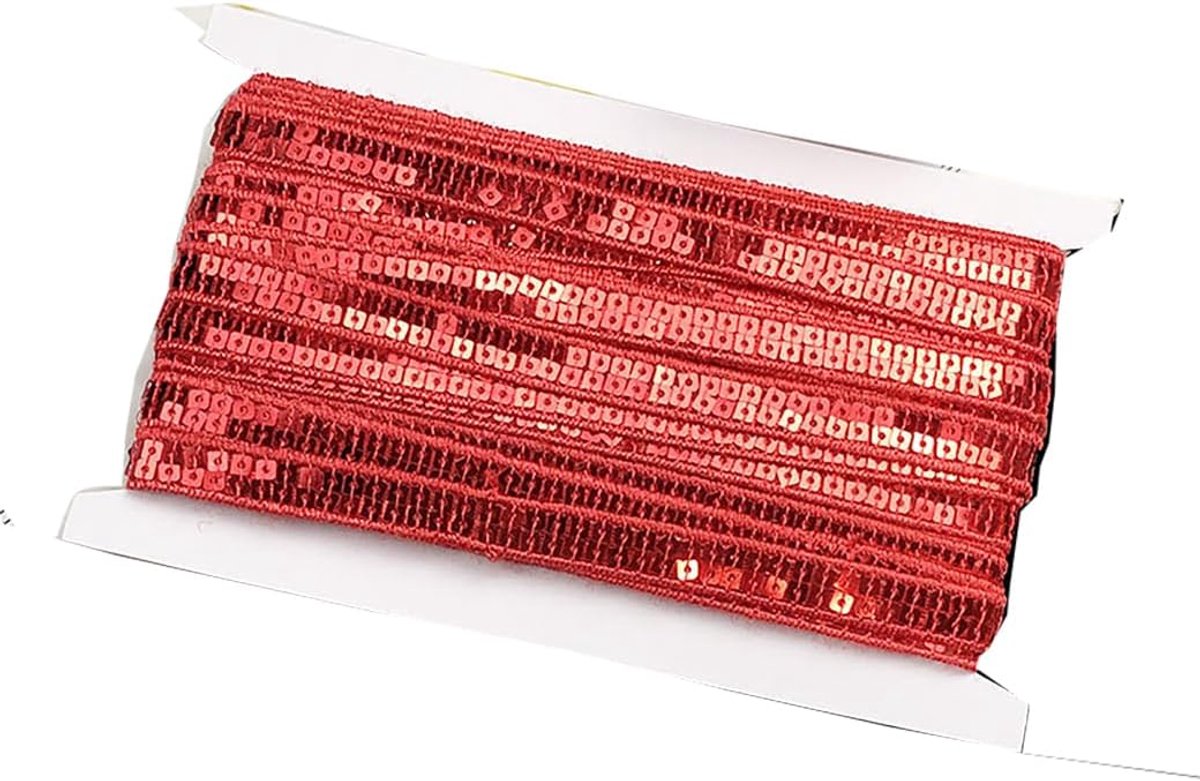 Paillettenlint 10 meter x 10 mm (2 rijen) paillettentrim glitter metallic trim voor het naaien knutselen paillettenstrepen boord lint decoratief lint voor kleding doe-het-zelf kunst handwerk decoratie