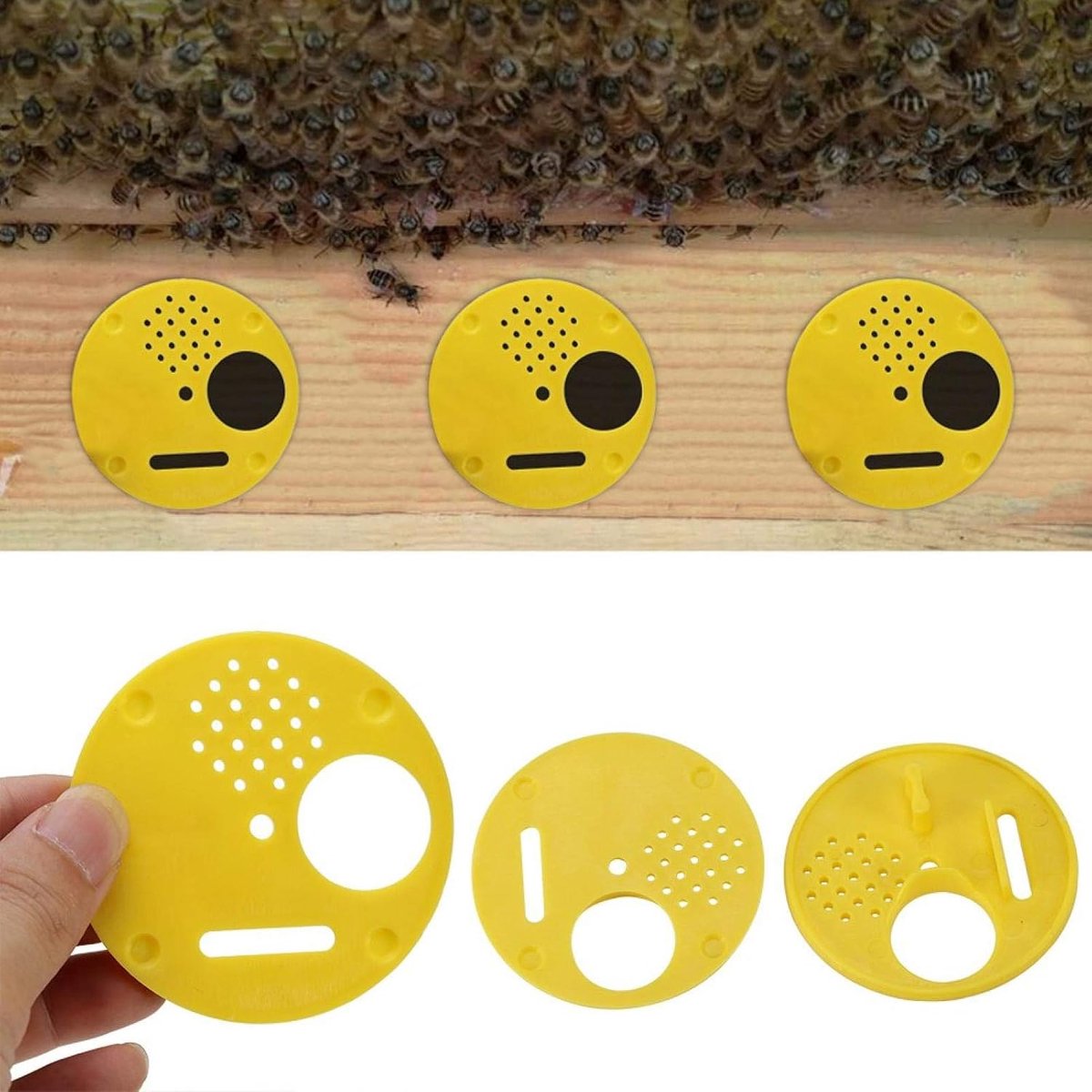 Vent Gat Plastic Bijenkorf Nuc Bijenteelt Apparatuur in Een Set Doos Toegangspoorten Bijenkorf Doos Entree 12 stks voor Bijenteelt