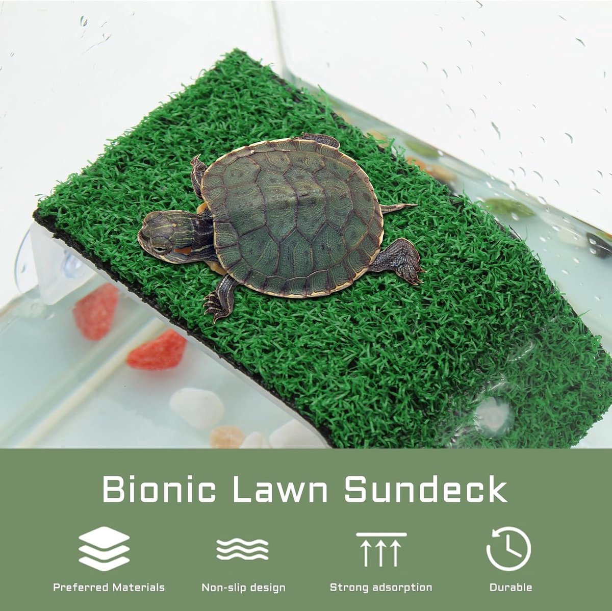 schildpad, gesimuleerde schildpad, plantenvorm met ophanging, klimhelling, gazon voor kleine reptielen, kikker, terrapin, schildpad, terras, voor schildpad, klimmen, zonnebaden (S)