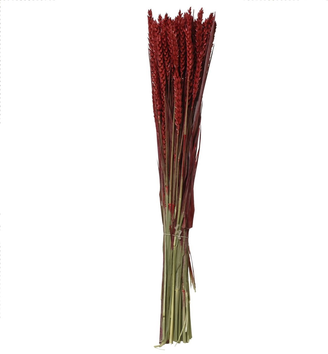 Kaemingk Droogbloemenbos Tarwe Rood Ø 14 cm 55 cm