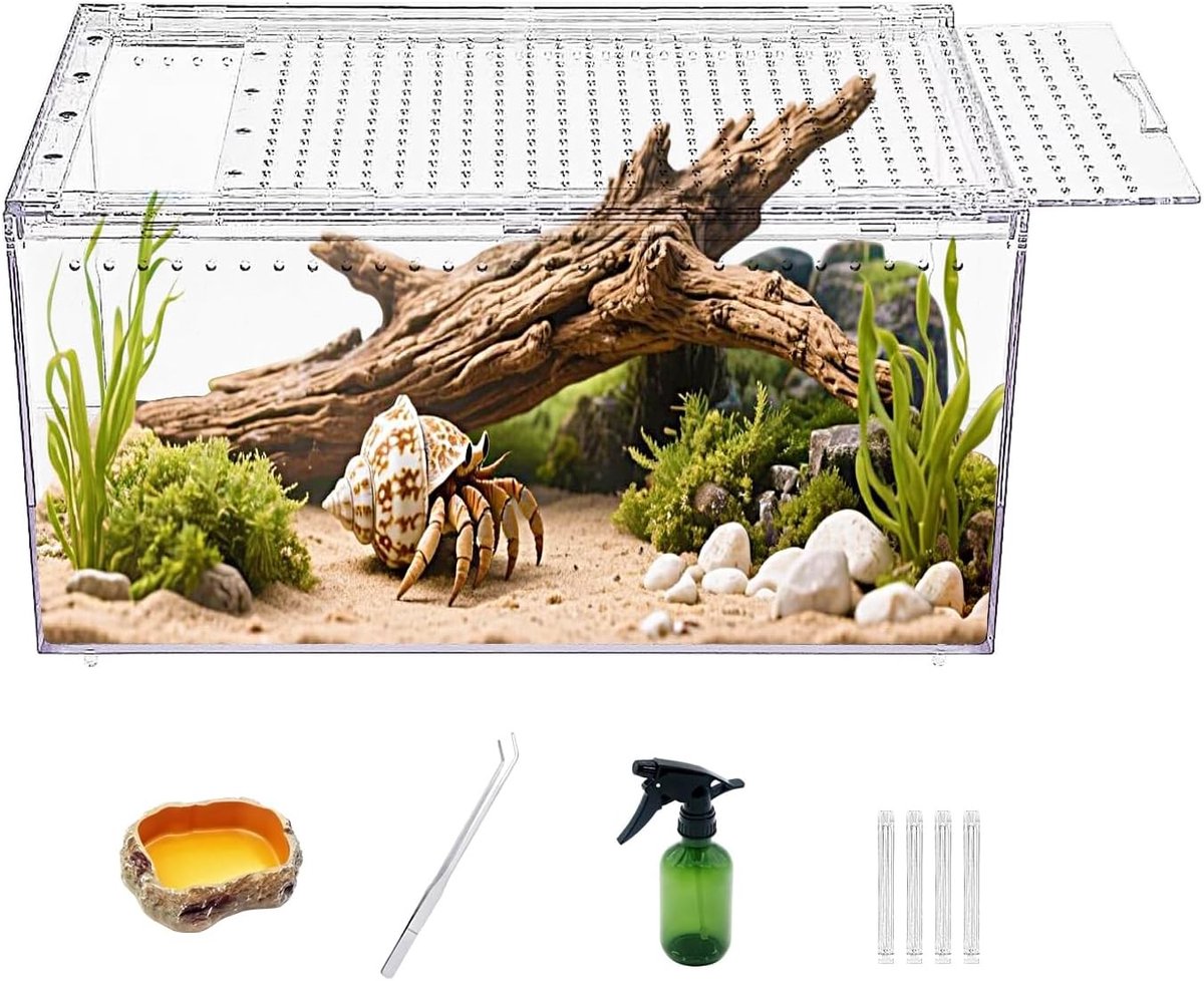 Groot Terrarium voor Reptielen en Spinnen, Ideaal voor Kweek en Huisvesting van Insecten, Vissen en kleine Dieren 40 x 25 x 20 cm