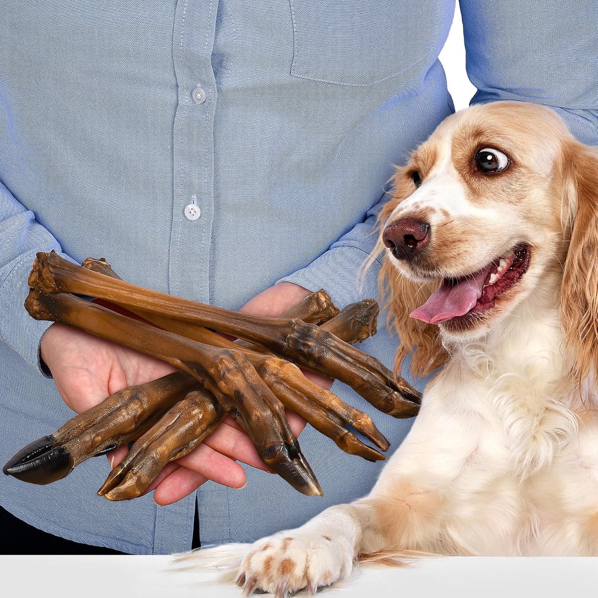 Hondenkauwartikelen, 5 stuks, natuurlijke gedroogde hondensnacks zonder vacht, hypoallergeen en eiwitrijk, tandverzorging, gezond kauwplezier zonder additieven, voor kleine en grote honden