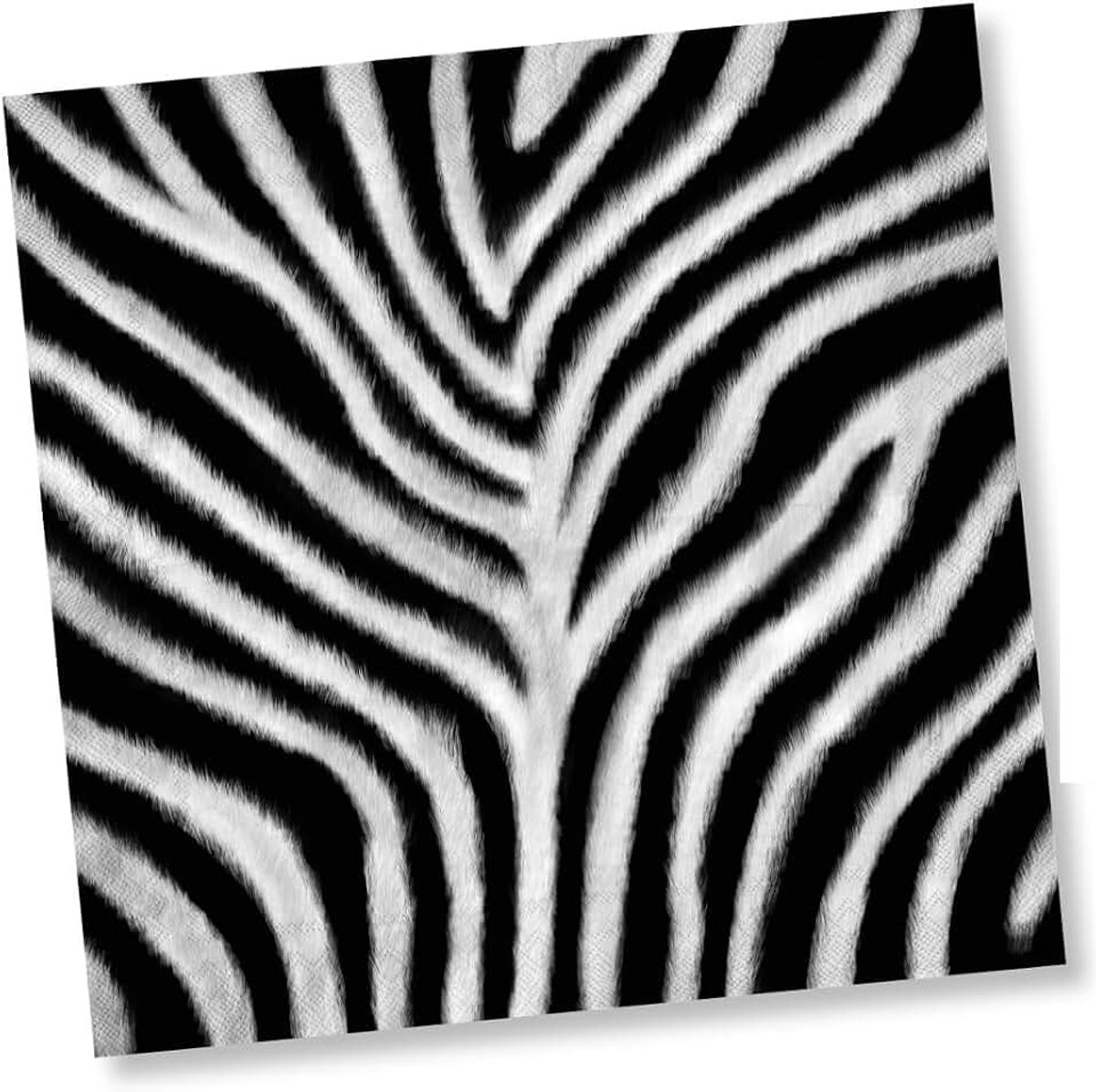20 servetten * Zebra * voor verjaardag, feest en themafeest | Napkins papieren servetten safari wilde dieren dierentuin set