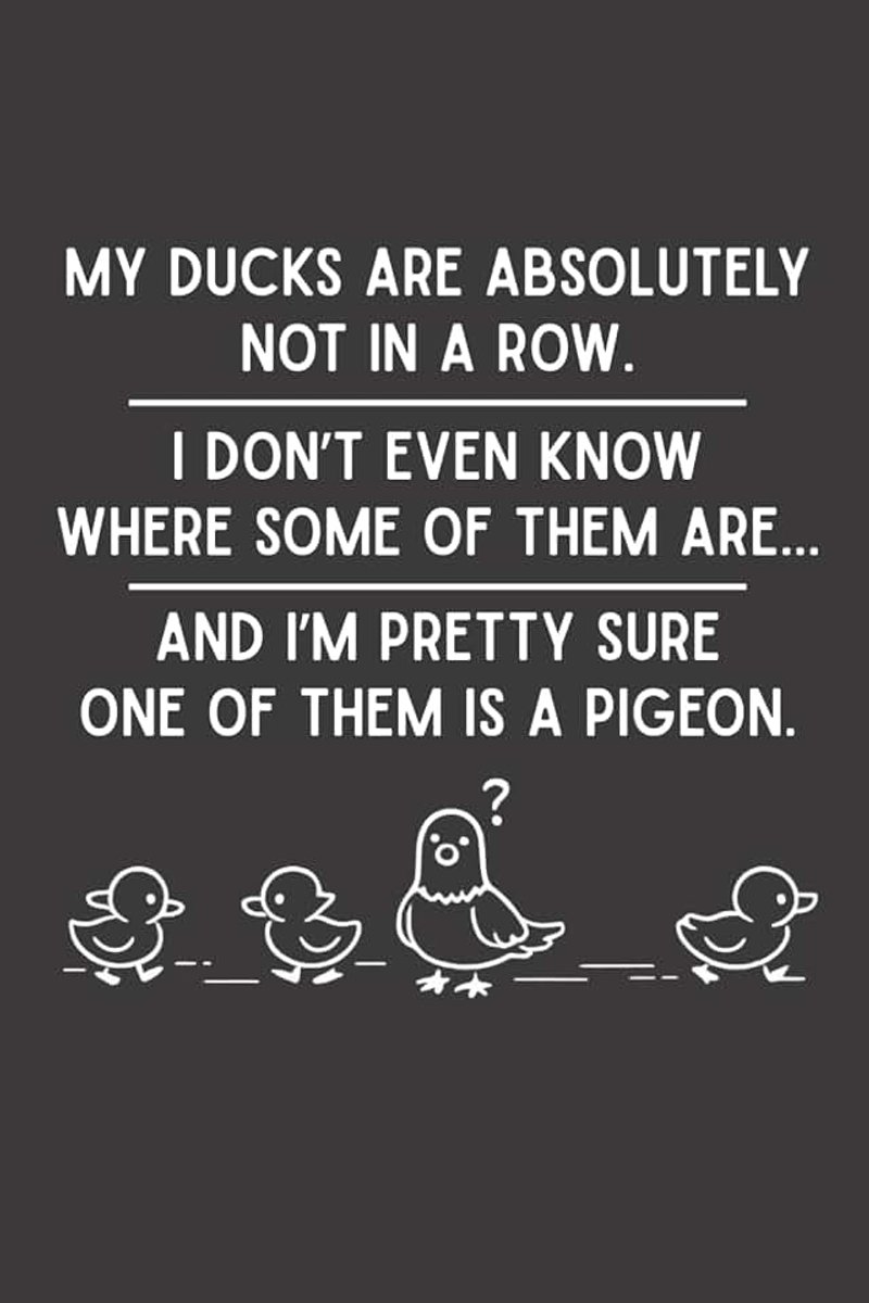 Ducks Are Absolutely Not In A Row: Funny Blank Lined Notebook, 6 x 9 In, 120 Pages, Sarcastic Work Journal, Gag Gift for Office Coworkers, Employees, Boss, Team, Colleagues and Friends