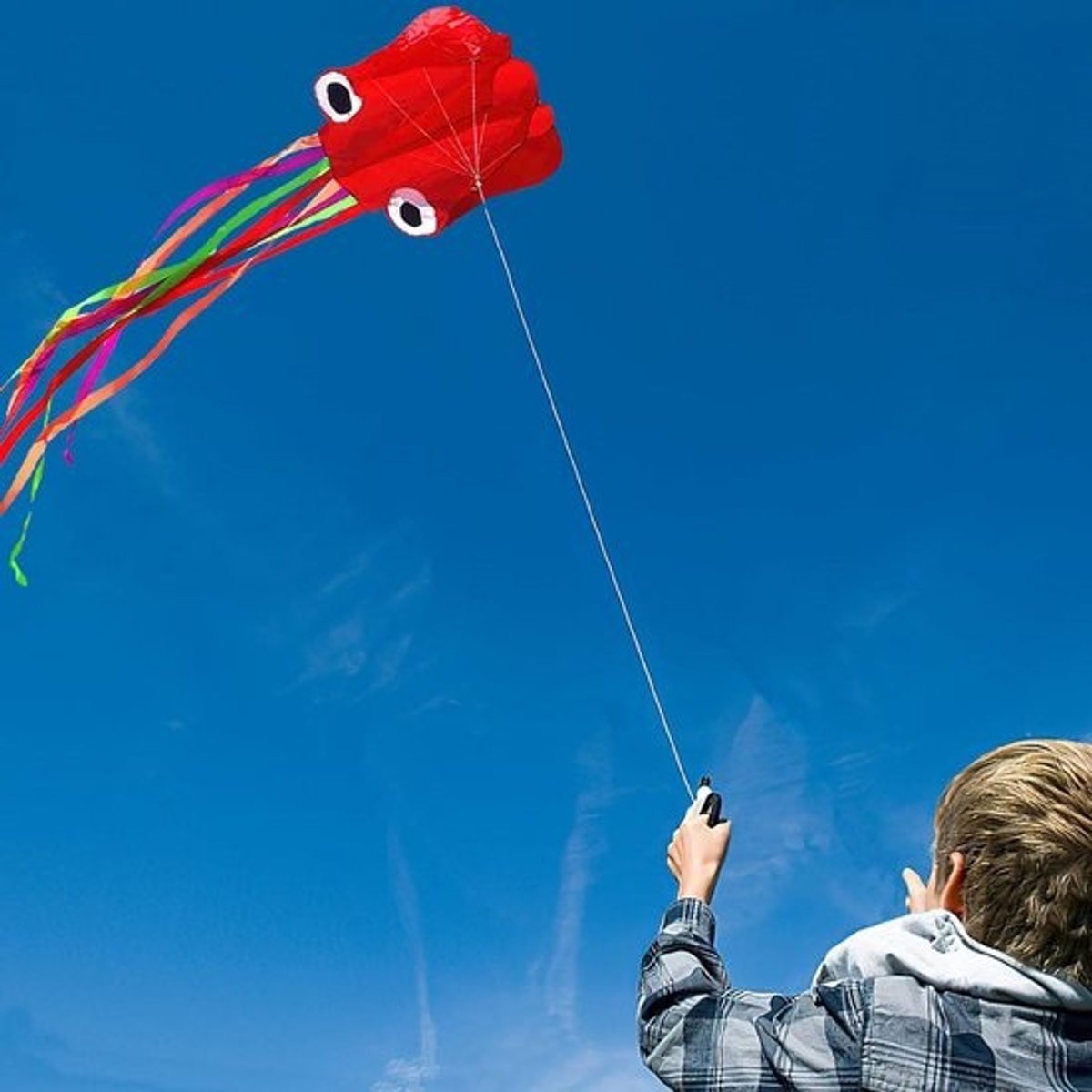Vlieger Grote octopus vlieger - vlieger inleglijn - windvlieger voor kinderen - draakvlieg klimspelletjes - volwassenen en kinderen vanaf 10 jaar - inclusief vliegerkoord - rood
