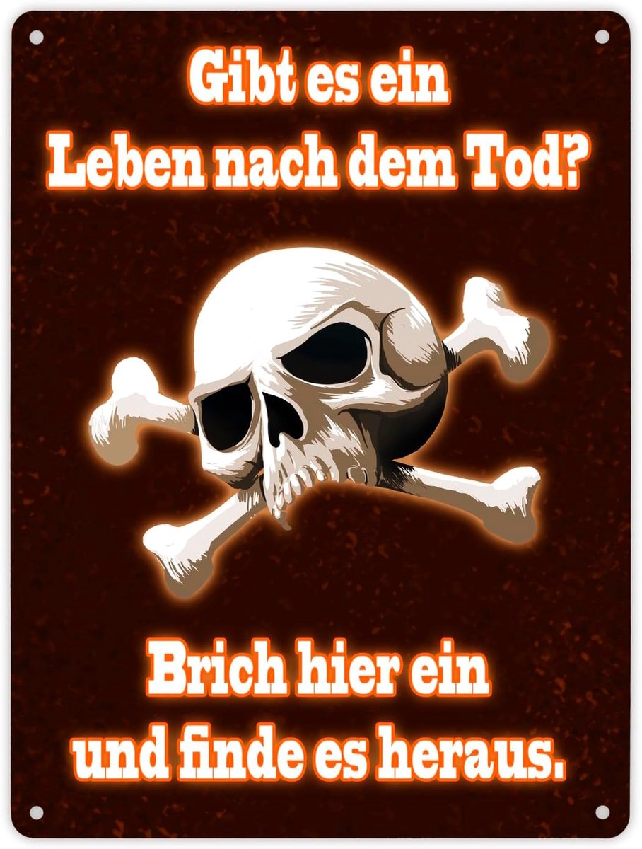 Metalen bord (21x28 cm) met doodshoofd en gekruiste beenderen - "Leven na de dood" Verbodsbord voor privéterrein met een humoristische dreiging en doodshoofdmotief ter afschrikking