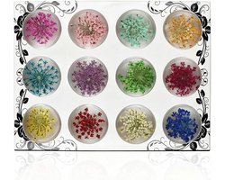 Diverse Gedroogde Bloemen in Transparante Doos voor Nail Art, Sieraden, Telefoonhoezen en Verzamelalbums - 12 Kleuren