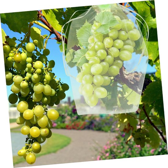 100 Stuks Insectennetten Voor Groenten En Fruit Beschermzakken Voor Groenten En Fruit Netzakken Voor Netzakken Voor En Organzazakken Voor — afbeelding 3