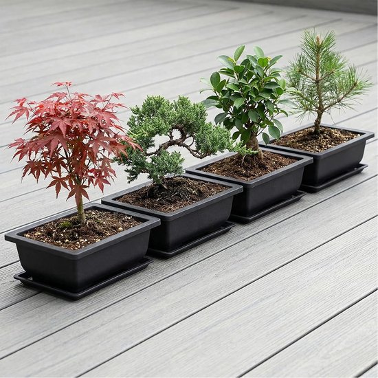 4 stuks bonsaischalen, 36 x 26,2 x 10,6 cm, kunststof bonsaischaal met onderzetter, bonsaipotten voor woonkamer, tuin, balkon — afbeelding 3