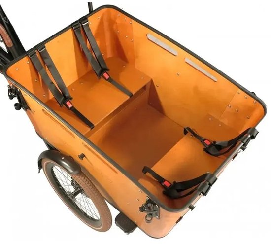 Vogue Carry 3 Bafang Max - Elektrische Bakfiets - 20 inch - 250W motor - Actieradius tot 80 km - 8 versnellingen - Hydraulische schijfremmen - Bruin — afbeelding 2