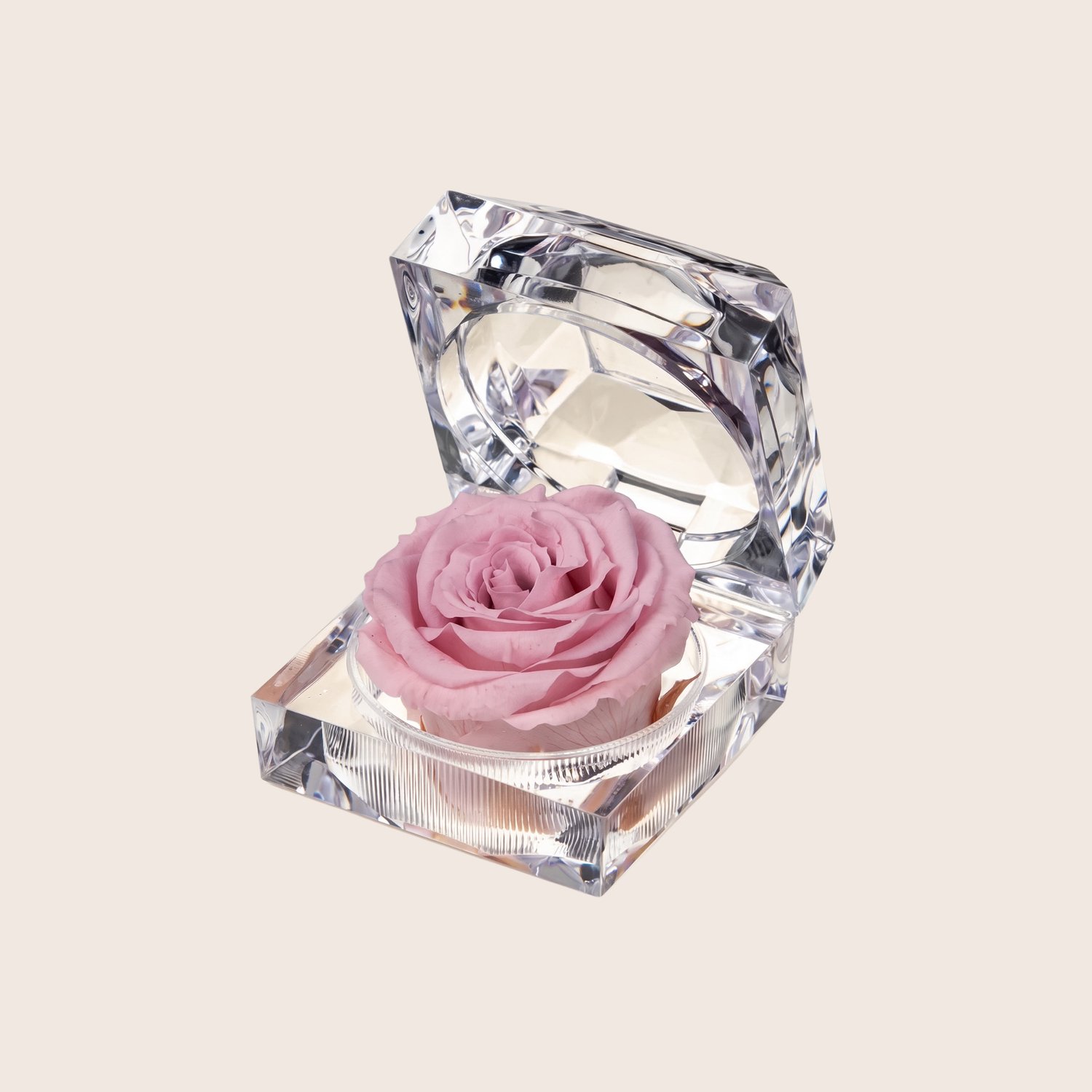 Charle Roses Crystal Rose - Mini Houdbare Roos - Powder Pink Lichtroze - In Transparant Cadeaudoosje