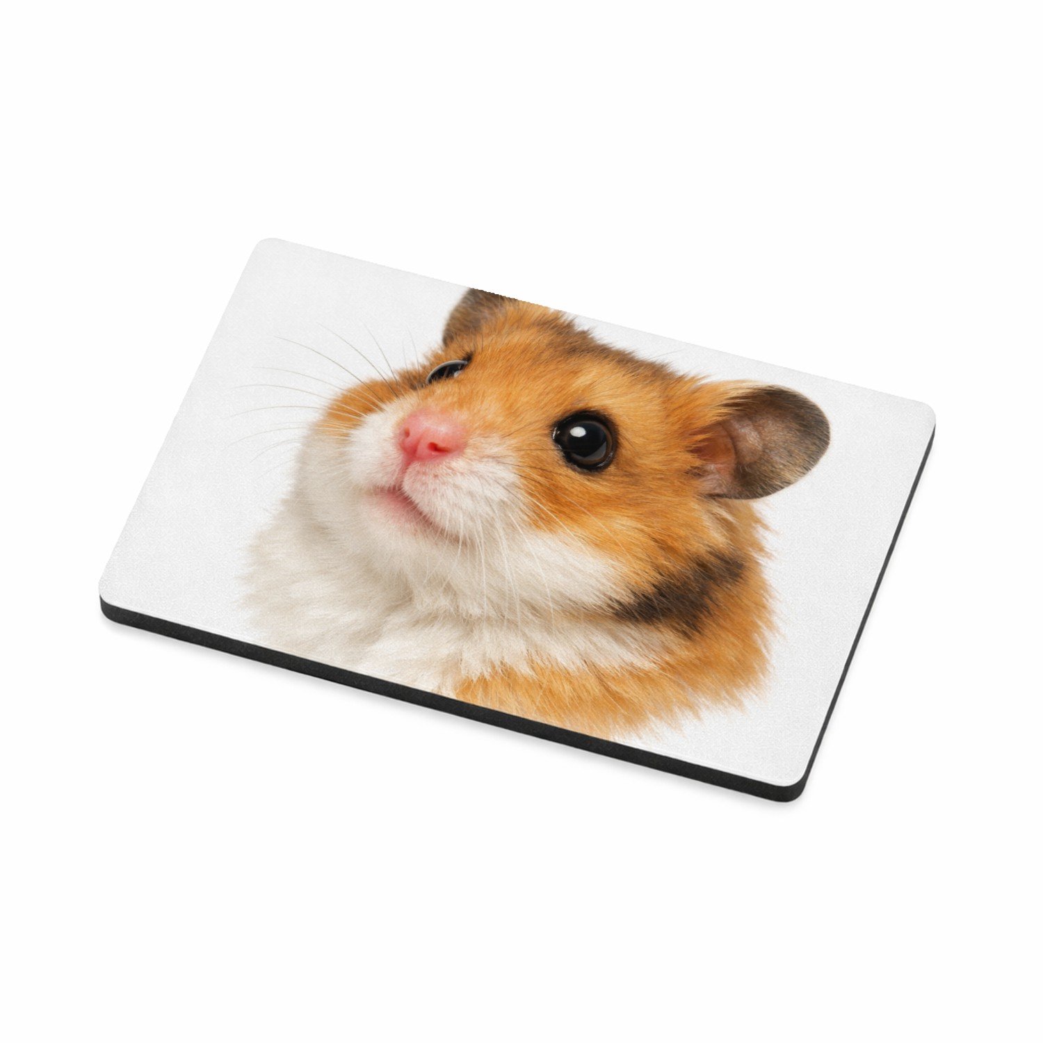 Mr Cadeautjes MDF magnetische fotolijst 7,5 x 5 - design Monumentaal huisdierportret met warme close-up en diepe donk | cadeau Wit