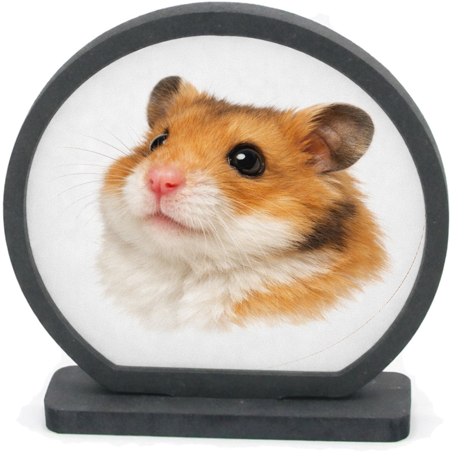 Mr Cadeautjes Houten fotolijst rond met MDF inleg - design Monumentaal huisdierportret met warme close-up en diepe donk | cadeau Wit