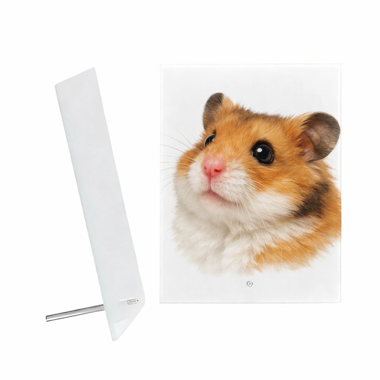 Mr Cadeautjes Glazen fotopaneel Monumentaal huisdierportret met warme close-up en diepe donk - 15 x 20 cm, staand - glas, decoratie, wanddecoratie | cadeau Wit