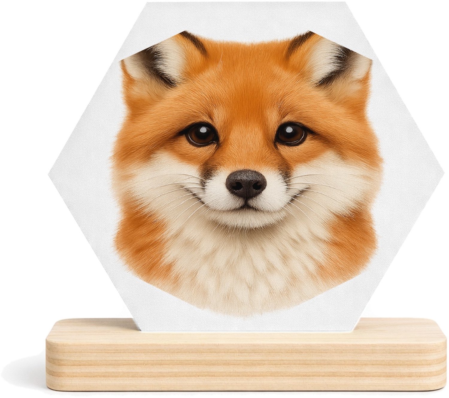 Mr Cadeautjes MDF fotolijst/inleg hexagon 14 x 13 - design Een groot, centraal dierenportret met luxe uitstraling en ru | cadeau Wit