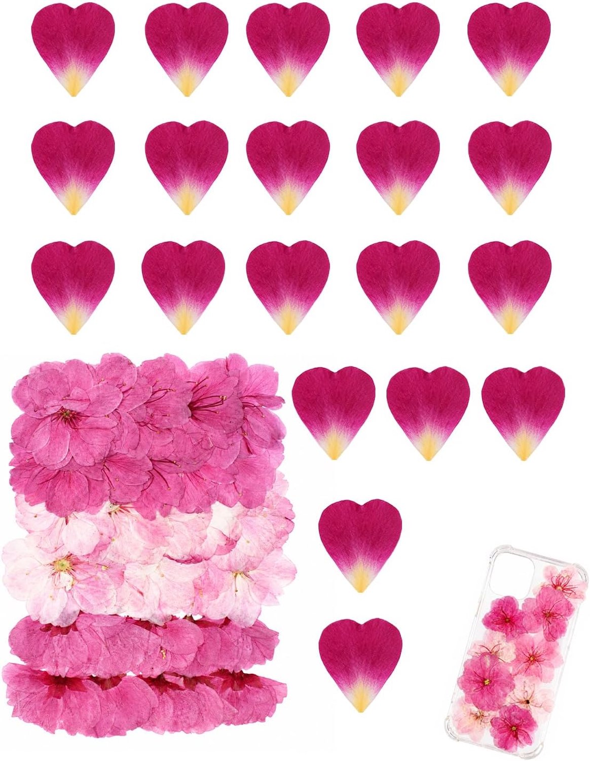 30 stuks geperste gedroogde bloemen van Sakura voor taartdecoraties, knutselwerk, geperste bloemen en fotorekwisieten - ShopVlot