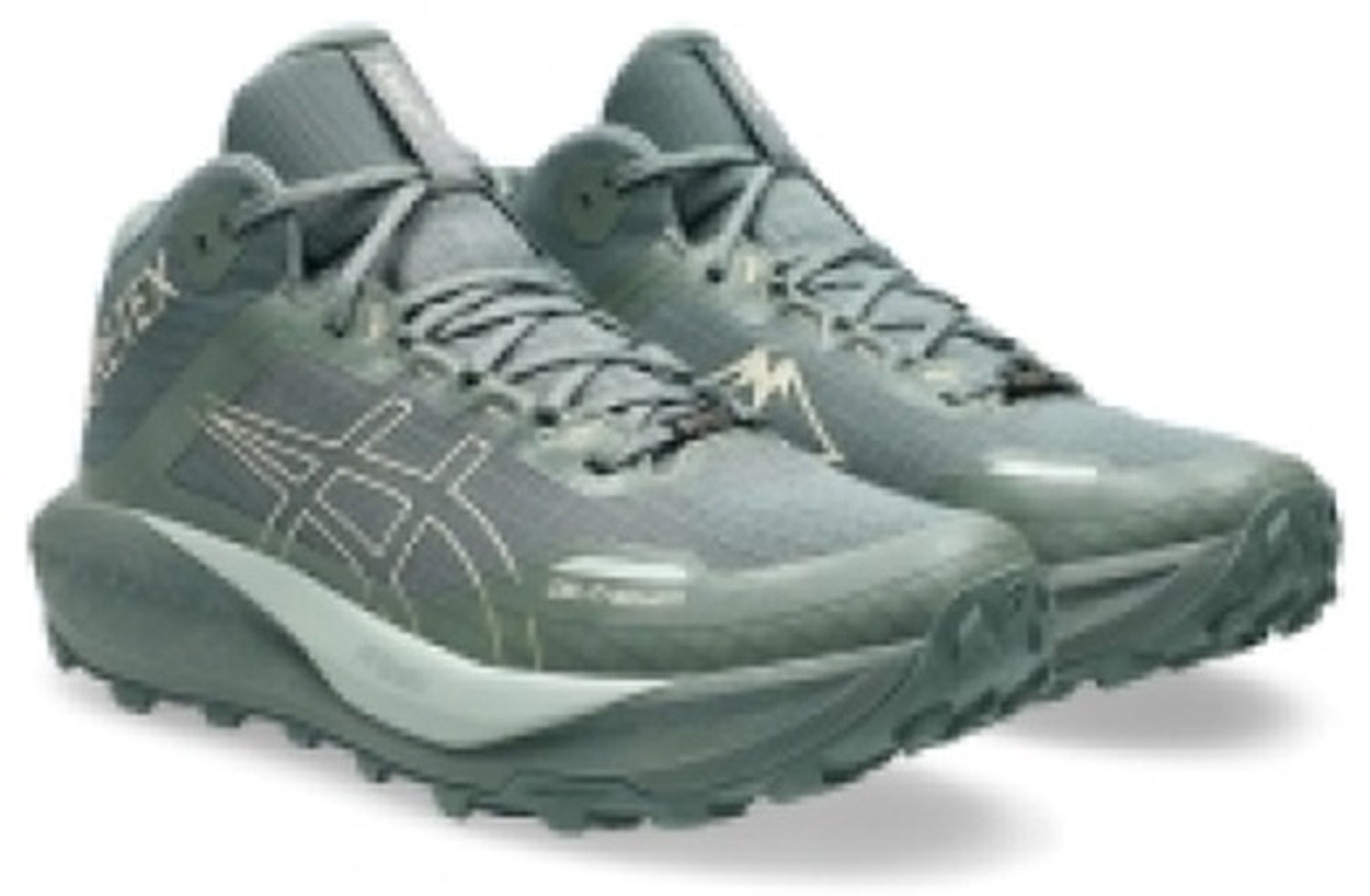 ASICS GEL TRABUCO MT GTX Trail hardloopschoen GTX 10 5 Grijs