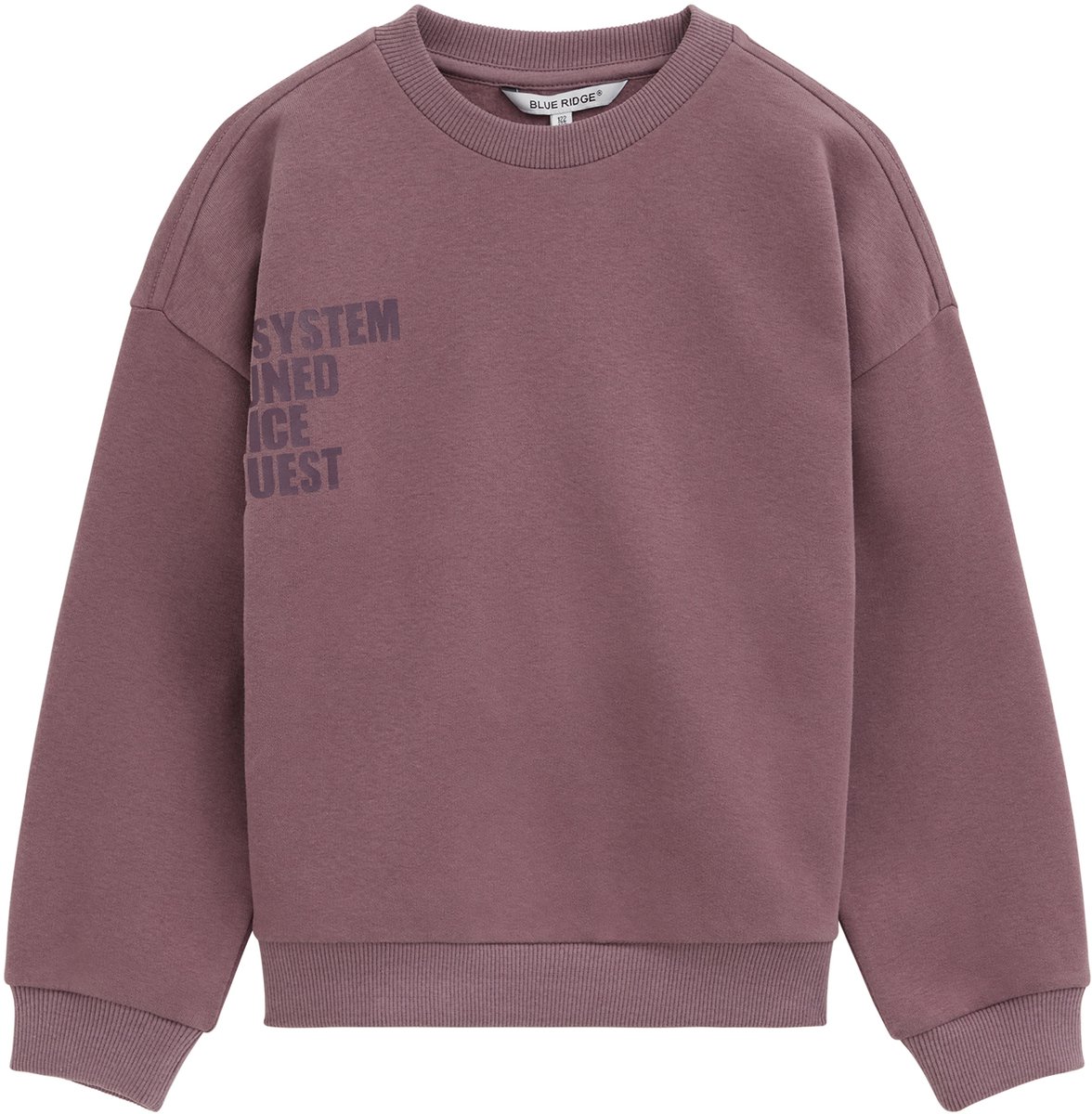 WE Fashion Jongens relaxed fit sweater met opdruk