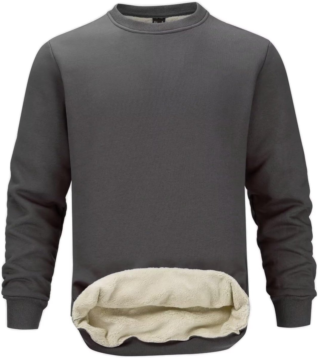Sweatshirts Winter Ronde Hals Pullover