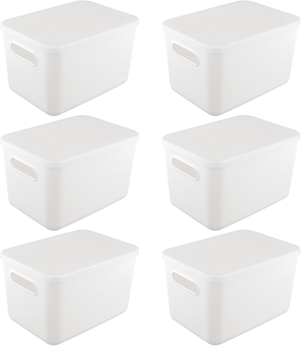 6 stuks opbergdozen, wit met deksel, 26 x 18,5 x 16 cm, kunststof opbergmand met handgrepen, rechthoekige opbergdozen, organizer, box voor badkamer, keuken
