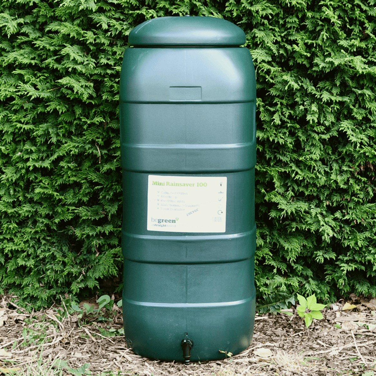 Harcostar Récupérateur Rainsaver vert 100 litres