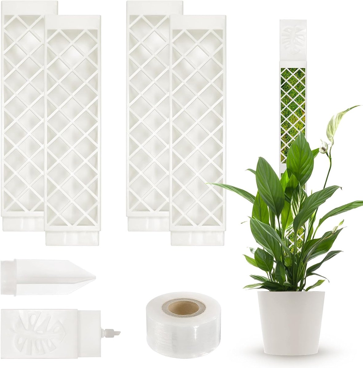 Mos-stok voor Monstera & Efeutute, 4 stuks met bewateringshulp, grondpunten en bevestiging, klimhulp voor klimplanten (Wit)