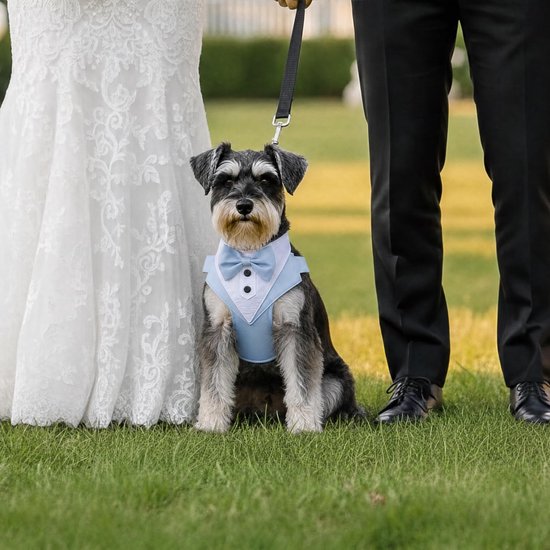 Harnas Tuxedo Stijl met Strikje - Trouwkleding voor Honden, Step-in Borsttuigje, Verstelbaar, Zacht Gevoerd voor Puppies en Kleine tot Middelgrote Honden (Lichtblauw, M) — afbeelding 4