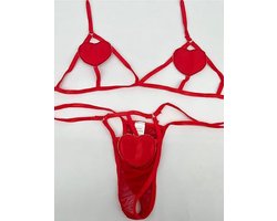 Heart Mesh Sheer Lingerie Set 2 stuks Strappy BH en Slipje Hollow Out Micro Badmode Bikini Set voor Kerstmis