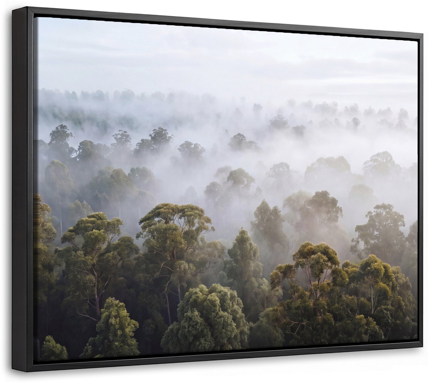 Canvas Schilderij met Baklijst - Natuur - Mist - Bos - Ochtend - Goud