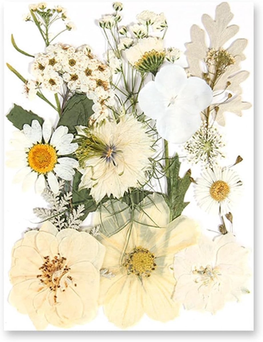 Natuurlijke gedroogde bloemen en bladeren voor DIY projecten, resin kaarsen, nageldecoraties en scrapbook decoraties - 15 stuks