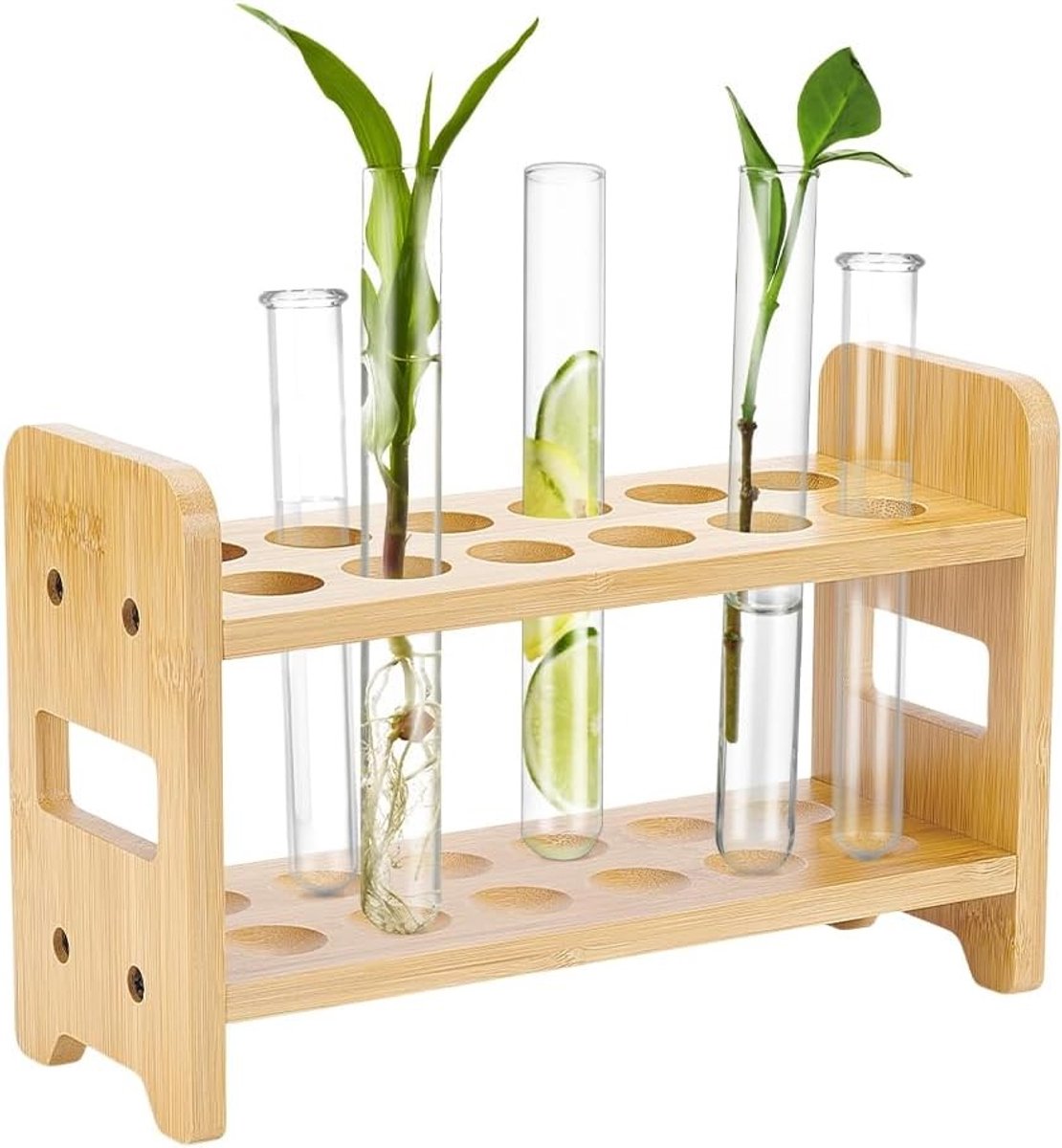 Houten testbuisjesrek voor 12 buisjes - Ideaal voor terrarium, hydroponics en kantoor decoratie