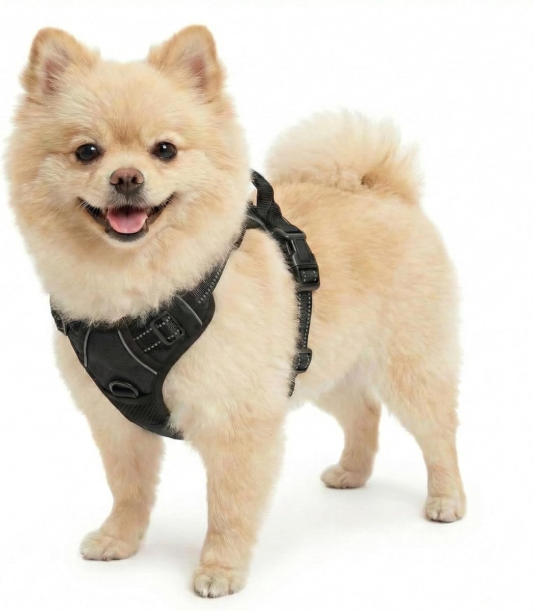 Hondentuig voor kleine honden, anti-trek borstharnas, verstelbaar puppyharnas, anti-trekharnas met handgreep en reflecterende strepen, voor kleine, middelgrote en grote honden, zwart, S