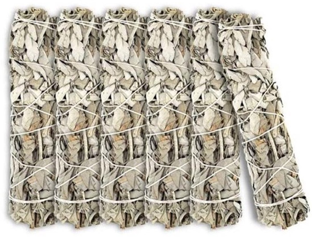 Witte Salie Sticks voor Vlekken en Reiniging - 6 Handgebonden Spirituele Sticks met Duurzaam Geoogste Californische Salie